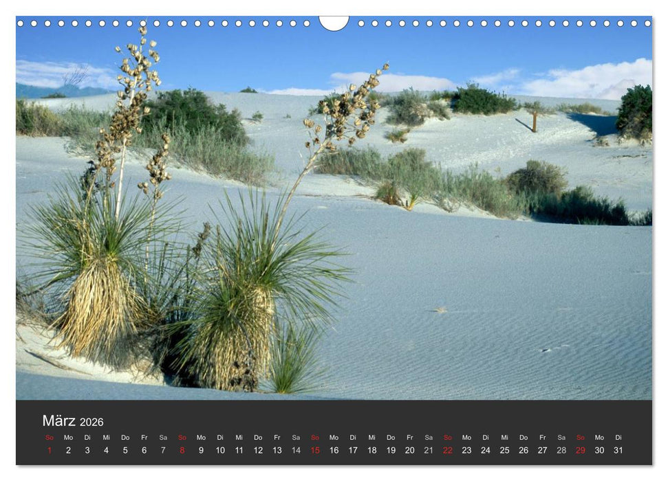 Wüsten, wilde Schönheiten (CALVENDO Wandkalender 2026)