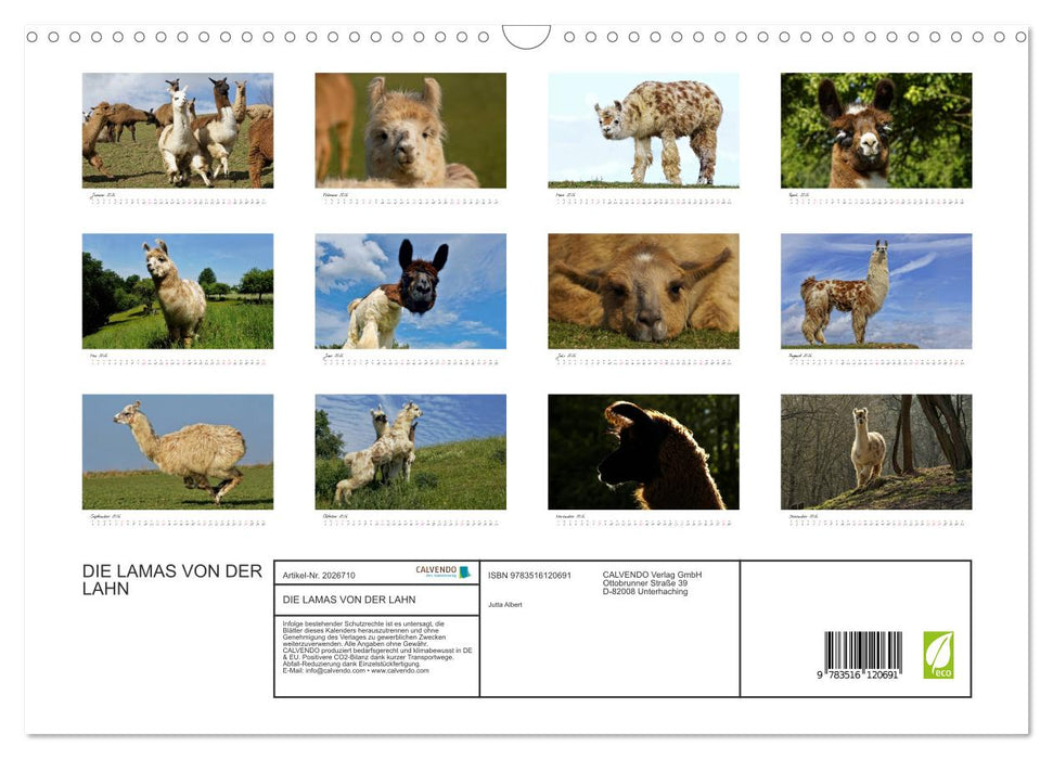 DIE LAMAS VON DER LAHN (CALVENDO Wandkalender 2026)