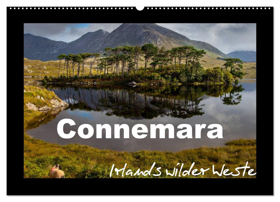 Connemara - Irlands wilder Westen (CALVENDO Wandkalender 2026)