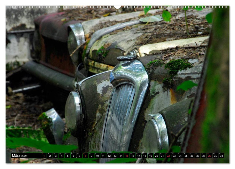 Autowracks - rostende Liebe (CALVENDO Wandkalender 2026)