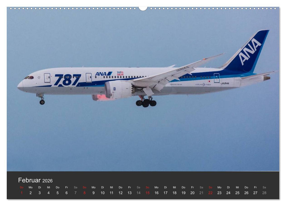 Verkehrsflugzeuge (CALVENDO Premium Wandkalender 2026)