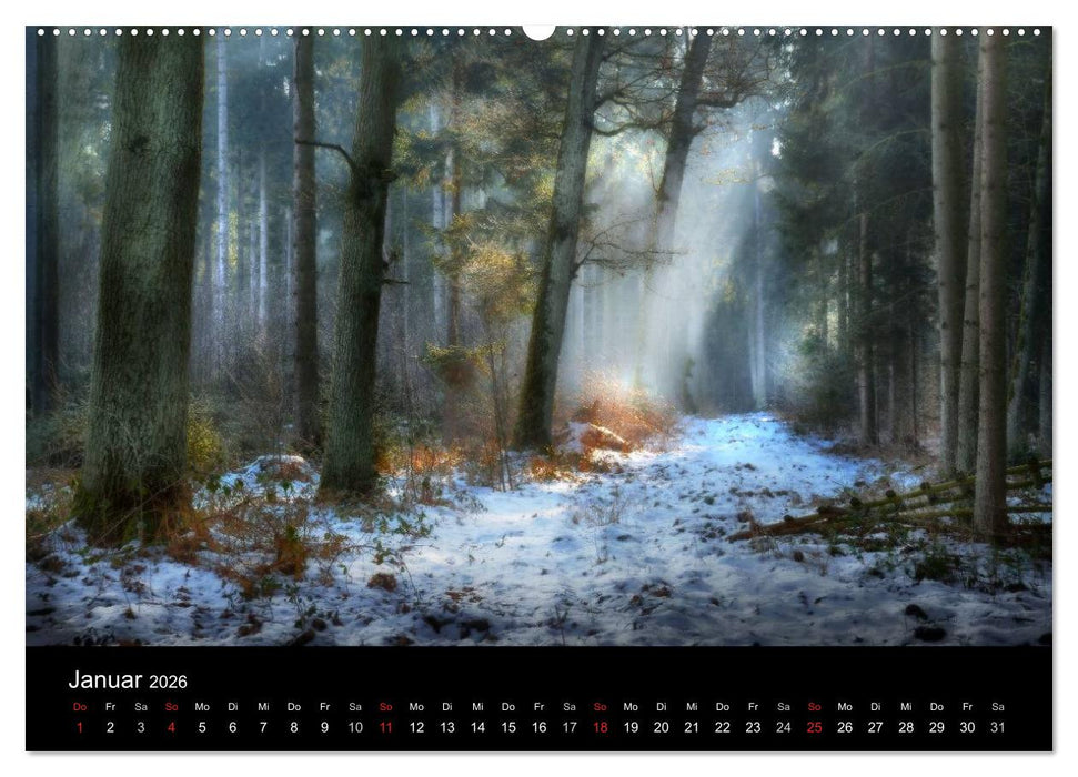 Kanzelkalender 2026 (CALVENDO Premium Wandkalender 2026)