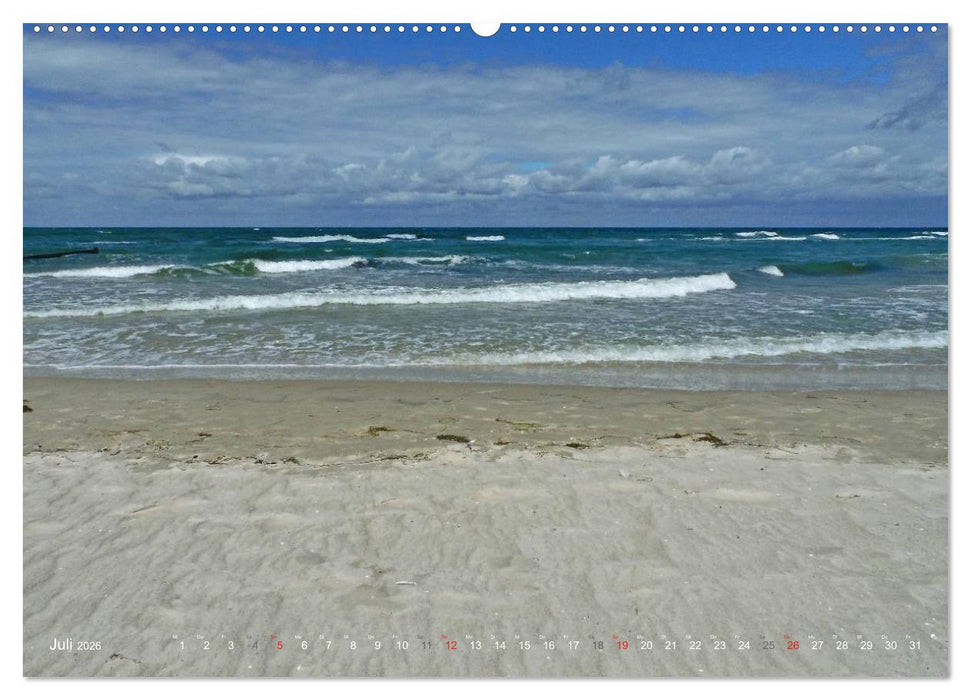 Wo de Ostseewellen trecken an den Strand 2026 (CALVENDO Premium Wandkalender 2026)