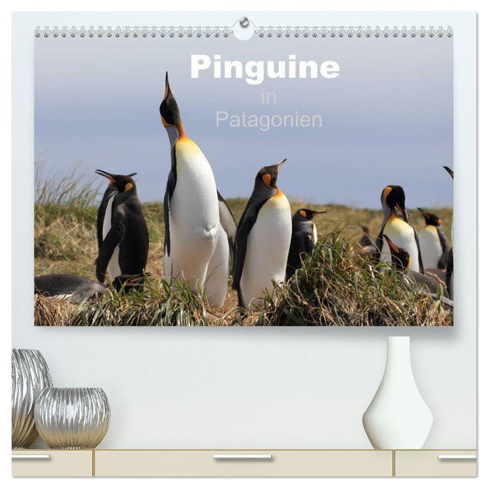 Pinguine in Patagonien (CALVENDO Premium Wandkalender 2026)
