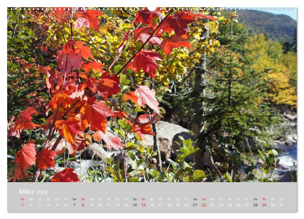 Indian Summer in New England (CALVENDO Premium Wandkalender 2026)