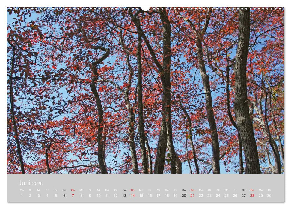 Indian Summer in New England (CALVENDO Premium Wandkalender 2026)