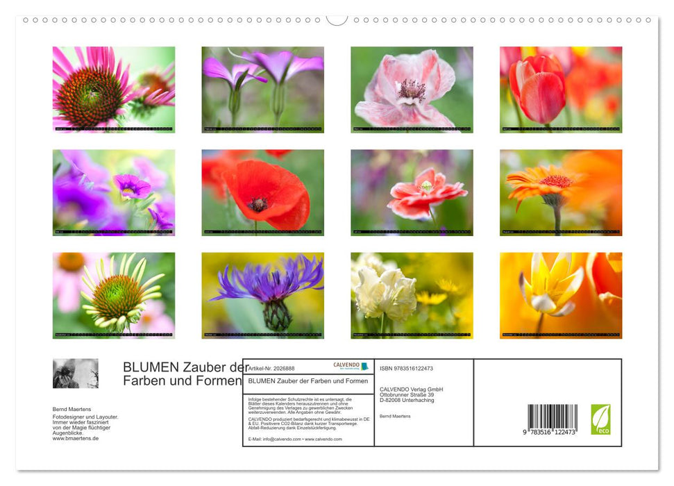 BLUMEN Zauber der Farben und Formen (CALVENDO Premium Wandkalender 2026)