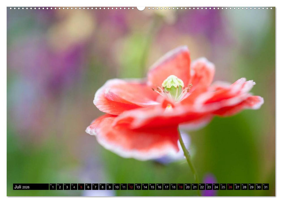 BLUMEN Zauber der Farben und Formen (CALVENDO Premium Wandkalender 2026)