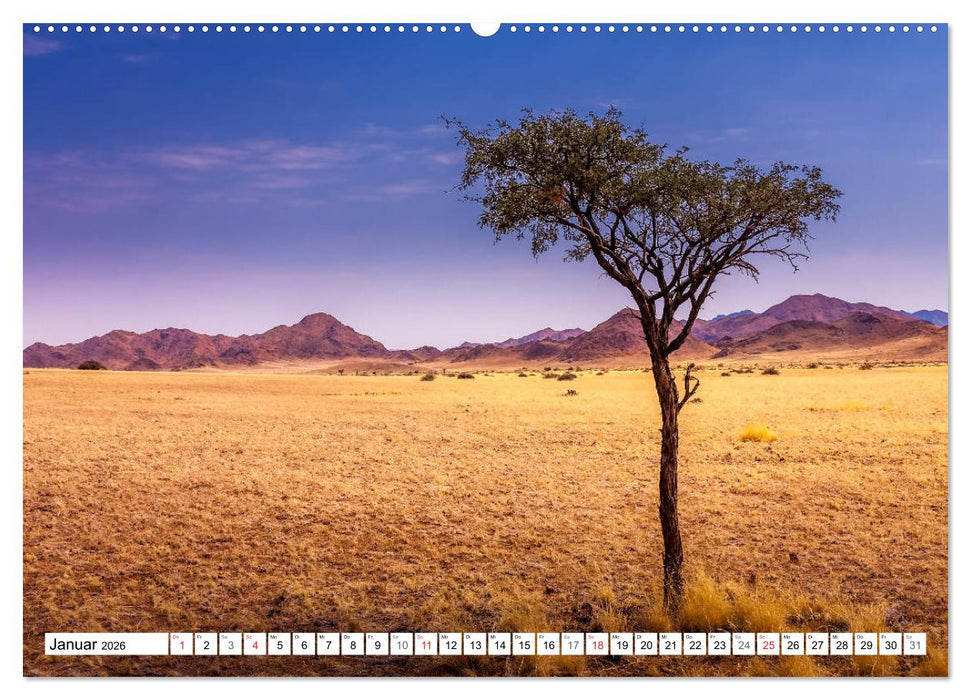 Namibia - Farben und Licht (CALVENDO Wandkalender 2026)