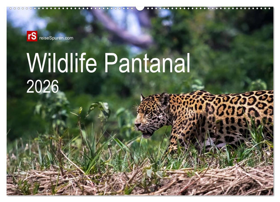 Wildlife Pantanal 2026 (CALVENDO Wandkalender 2026)