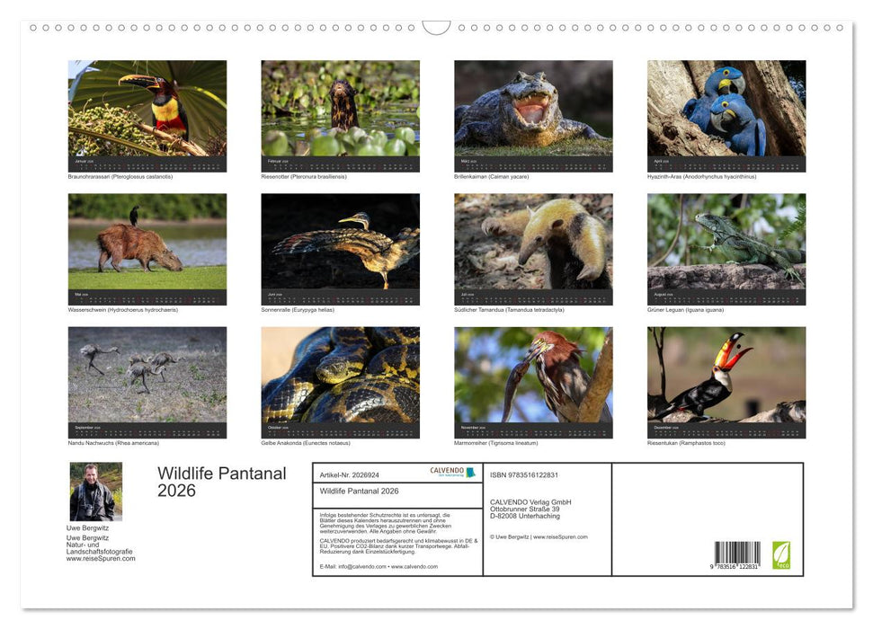 Wildlife Pantanal 2026 (CALVENDO Wandkalender 2026)