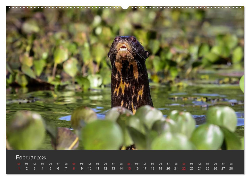 Wildlife Pantanal 2026 (CALVENDO Wandkalender 2026)