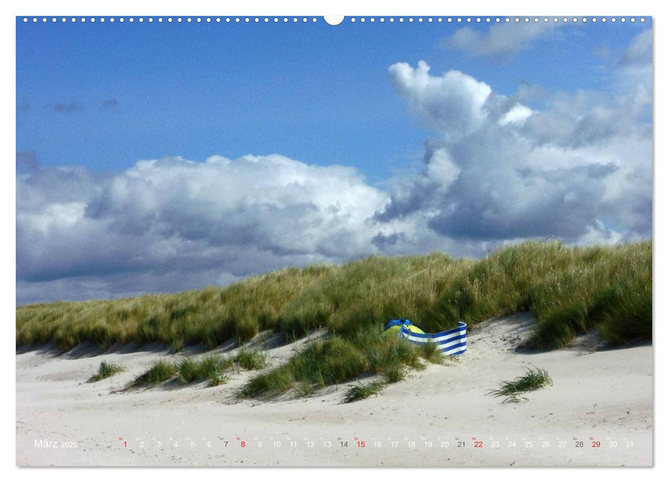 Wo de Ostseewellen trecken an den Strand 2026 (CALVENDO Wandkalender 2026)