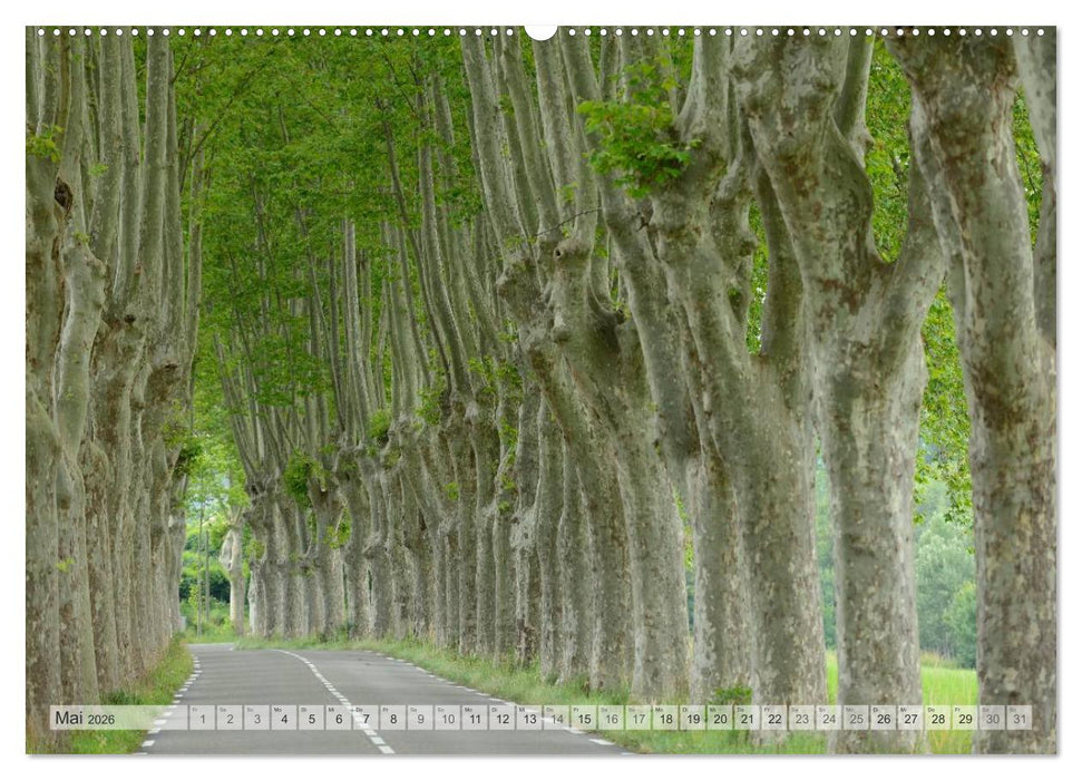 Provence von Christian Heeb (CALVENDO Wandkalender 2026)