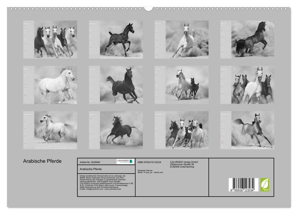 Arabische Pferde (CALVENDO Premium Wandkalender 2026)