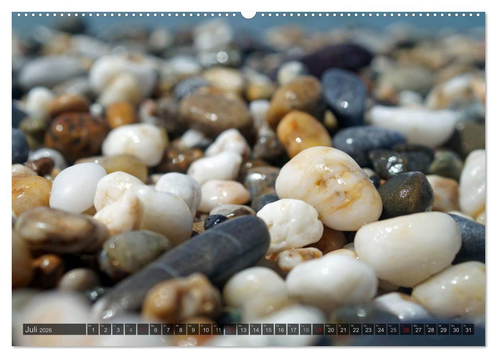 Steine-Reich (CALVENDO Premium Wandkalender 2026)