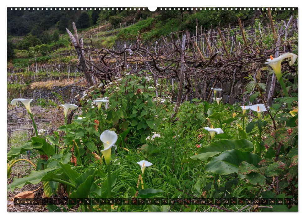 Madeira, Insel zwischen Himmel und Meer (CALVENDO Wandkalender 2026)