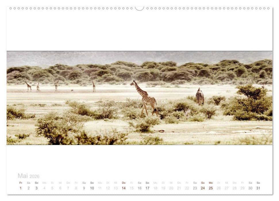 Serengeti Panorama (CALVENDO Premium Wandkalender 2026)