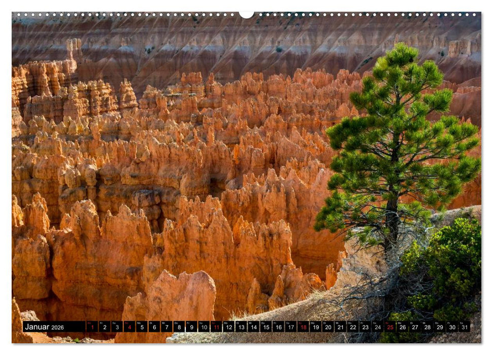 USA Der faszinierende Südwesten (CALVENDO Wandkalender 2026)