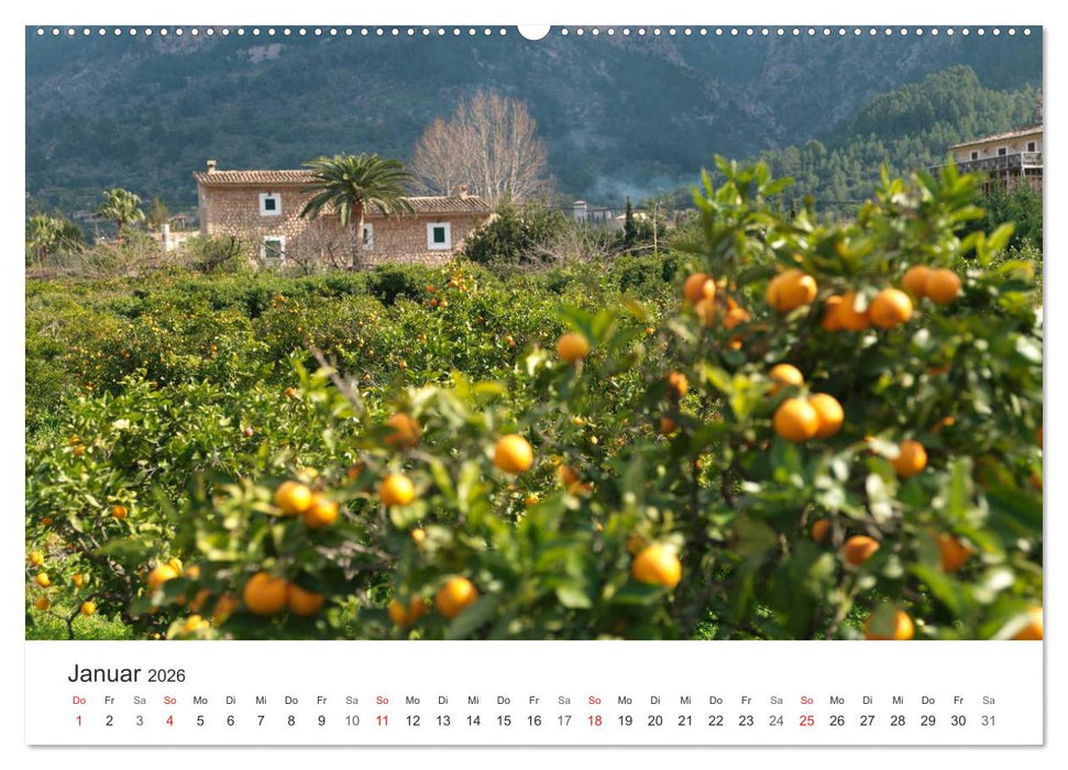 Mallorca - auf in den Urlaub (CALVENDO Wandkalender 2026)