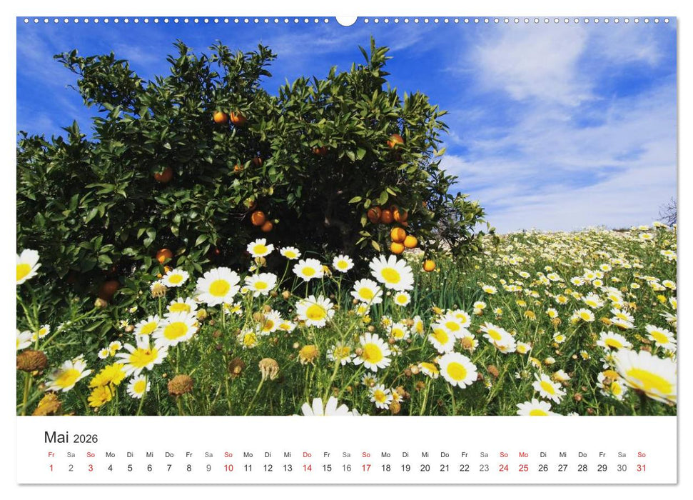 Mallorca - auf in den Urlaub (CALVENDO Wandkalender 2026)