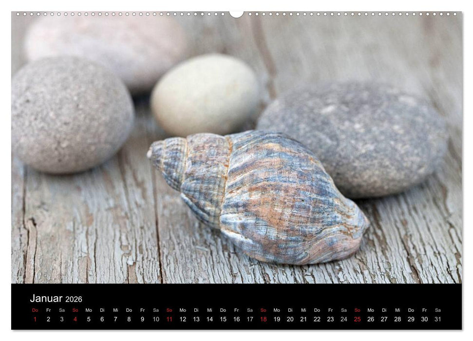 Strandgut und Meer 2026 (CALVENDO Premium Wandkalender 2026)