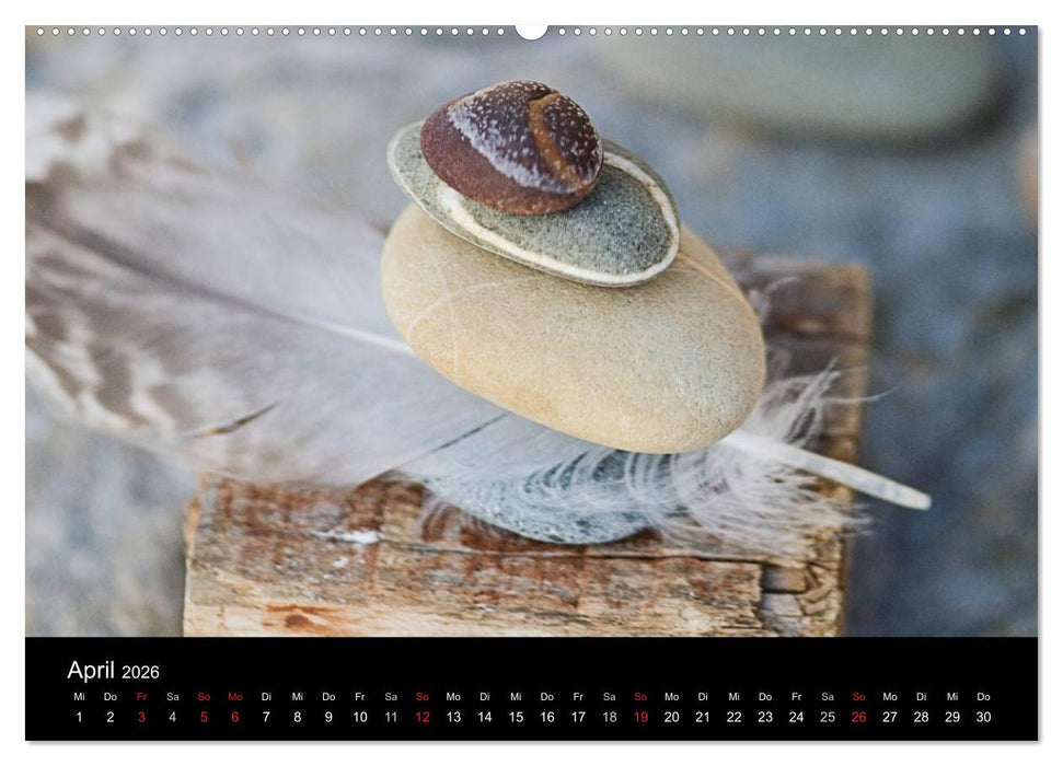 Strandgut und Meer 2026 (CALVENDO Premium Wandkalender 2026)