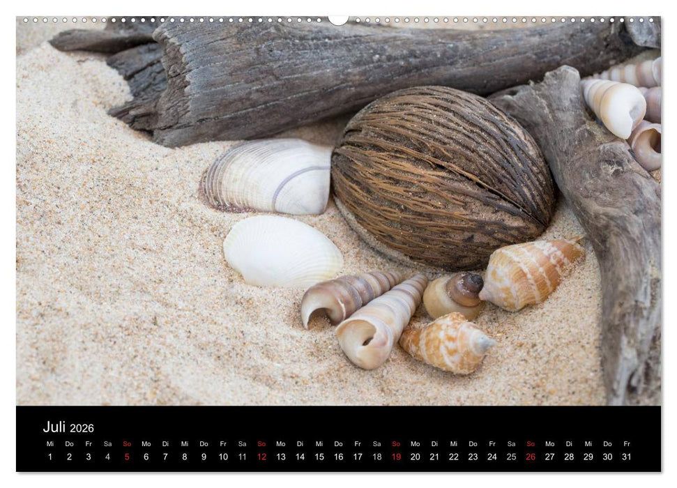 Strandgut und Meer 2026 (CALVENDO Premium Wandkalender 2026)
