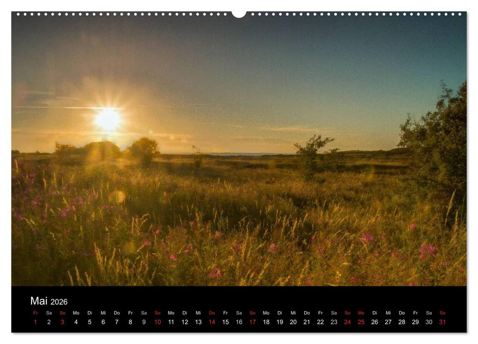 Sylt Morsumer Kliffabende Fotografien von Tobias Thiele (CALVENDO Premium Wandkalender 2026)