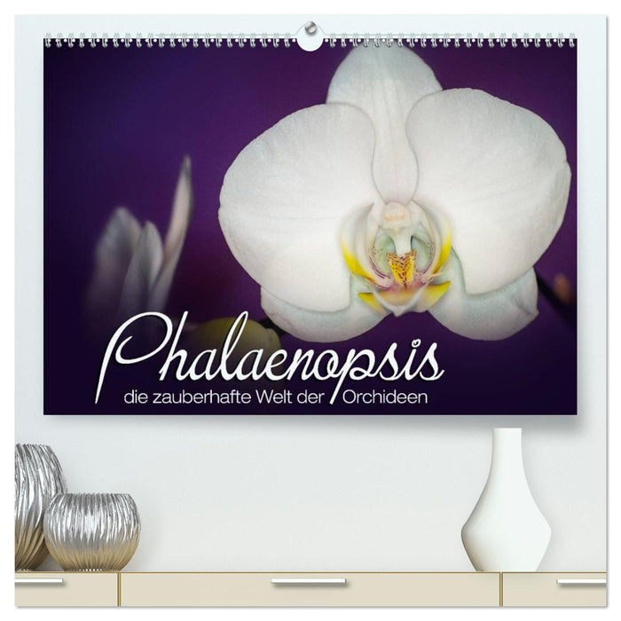 Phalaenopsis - die zauberhafte Welt der Orchideen (CALVENDO Premium Wandkalender 2026)