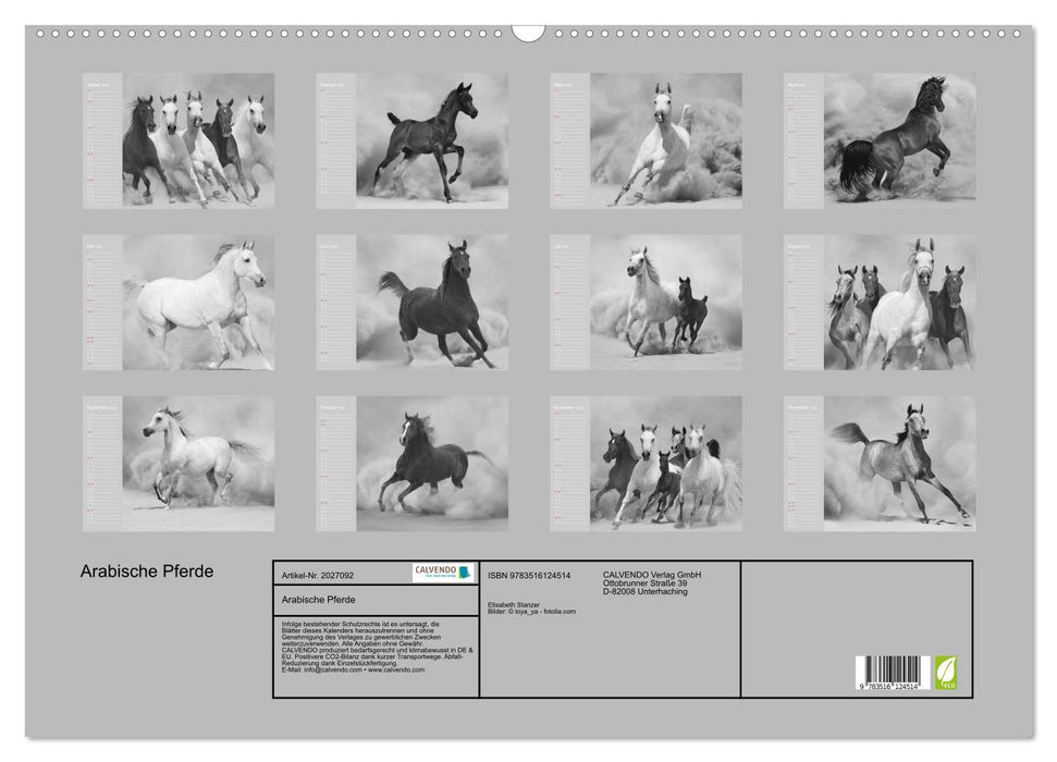 Arabische Pferde (CALVENDO Wandkalender 2026)