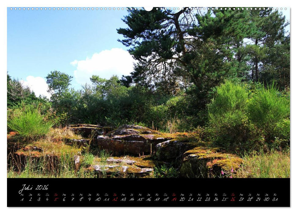 Brocéliande / Zauberwald der Bretagne (CALVENDO Premium Wandkalender 2026)