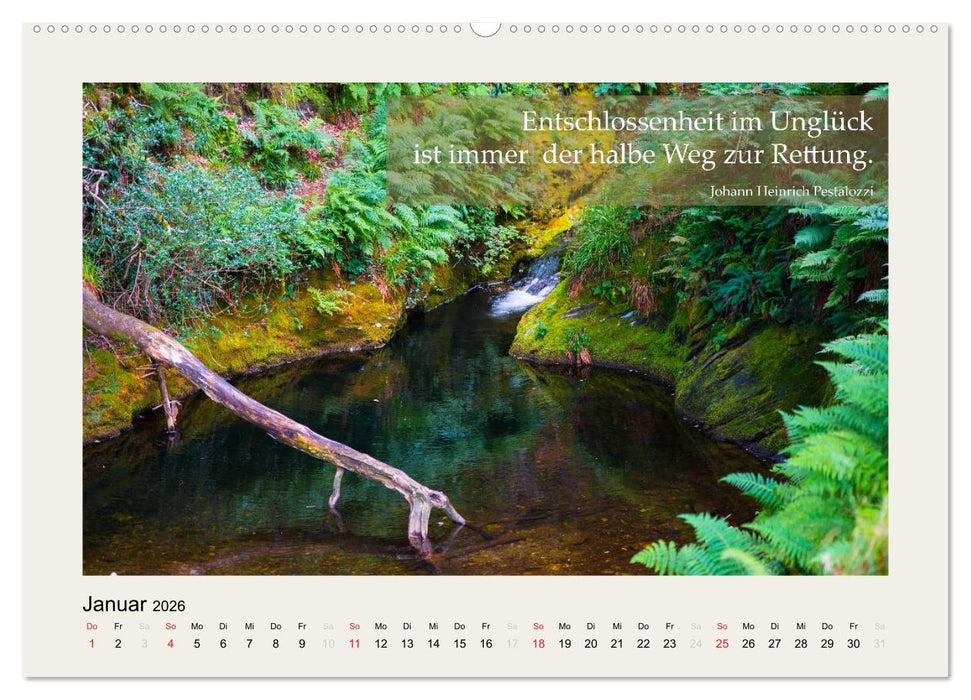 Hirnyoga (CALVENDO Premium Wandkalender 2026)