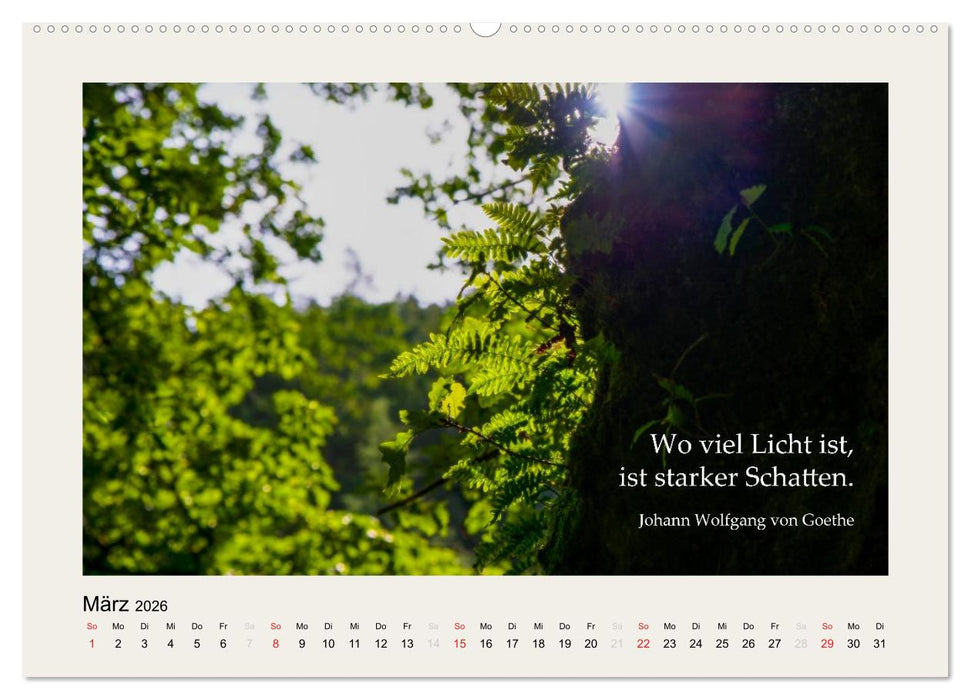 Hirnyoga (CALVENDO Premium Wandkalender 2026)