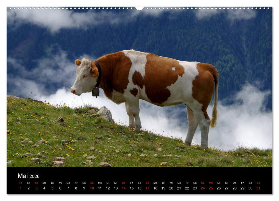 Im Tauferer Ahrntal in Südtirol (CALVENDO Wandkalender 2026)