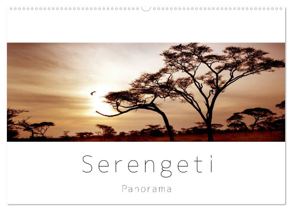 Serengeti Panorama (CALVENDO Wandkalender 2026)