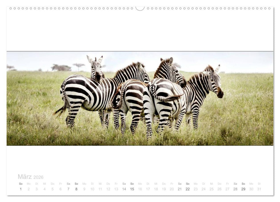 Serengeti Panorama (CALVENDO Wandkalender 2026)