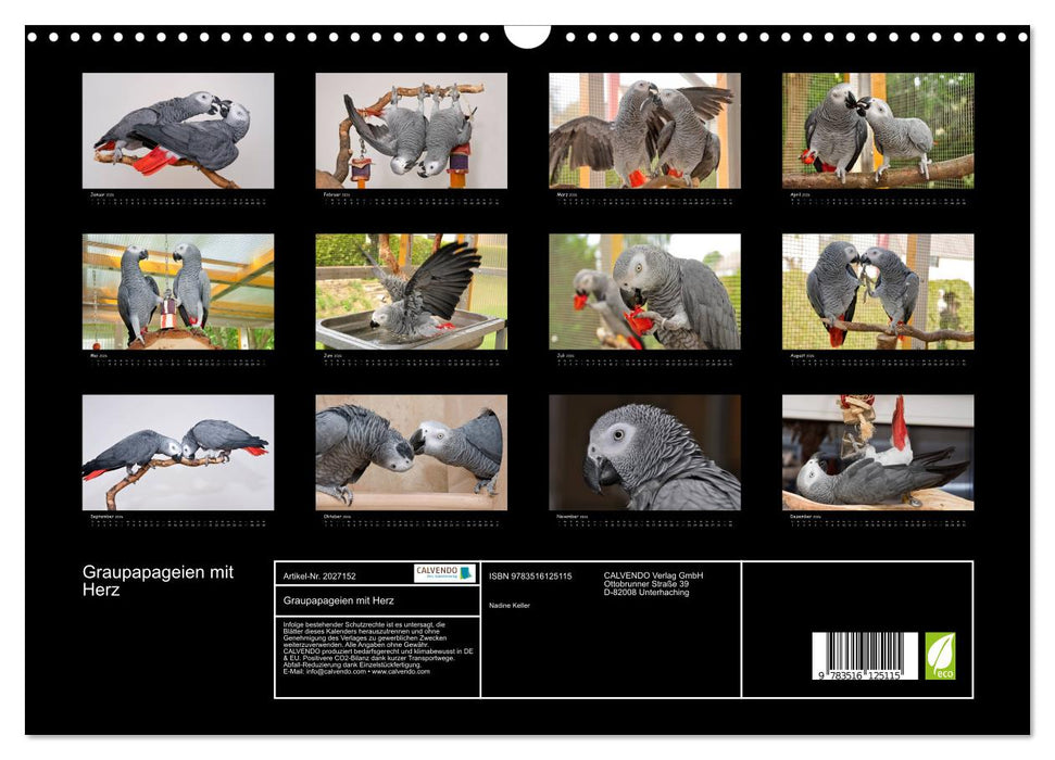 Graupapageien mit Herz (CALVENDO Wandkalender 2026)