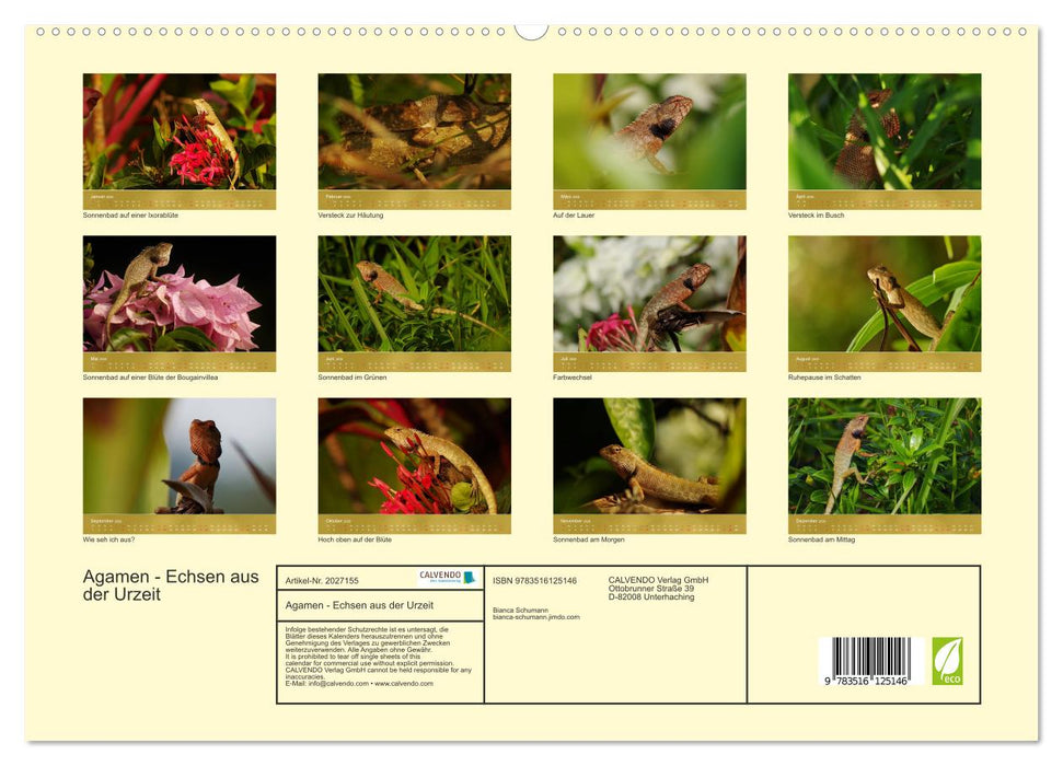 Agamen - Echsen aus der Urzeit (CALVENDO Premium Wandkalender 2026)