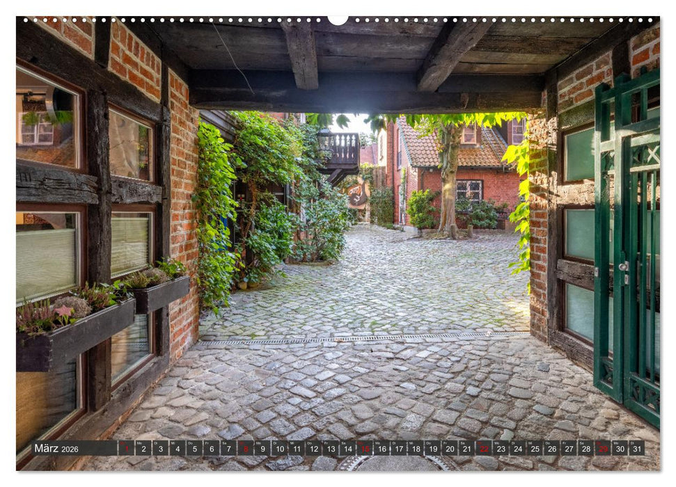 Lüneburg - Die Salz- und Hansestadt (CALVENDO Premium Wandkalender 2026)