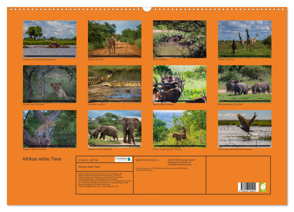 Afrikas wilde Tiere (CALVENDO Wandkalender 2026)
