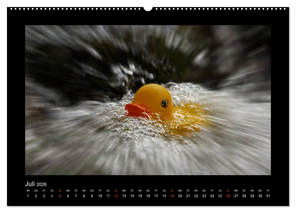 Enten-Rennen (CALVENDO Premium Wandkalender 2026)