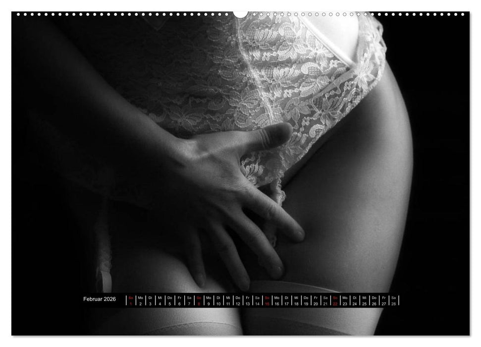 Die Kunst der Verführung (CALVENDO Premium Wandkalender 2026)