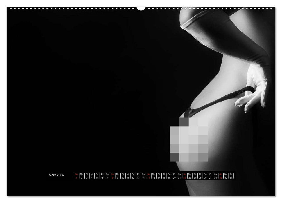 Die Kunst der Verführung (CALVENDO Premium Wandkalender 2026)
