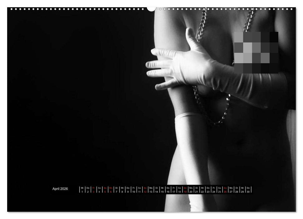 Die Kunst der Verführung (CALVENDO Premium Wandkalender 2026)