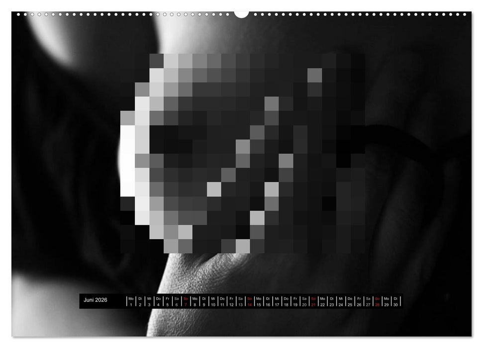 Die Kunst der Verführung (CALVENDO Premium Wandkalender 2026)