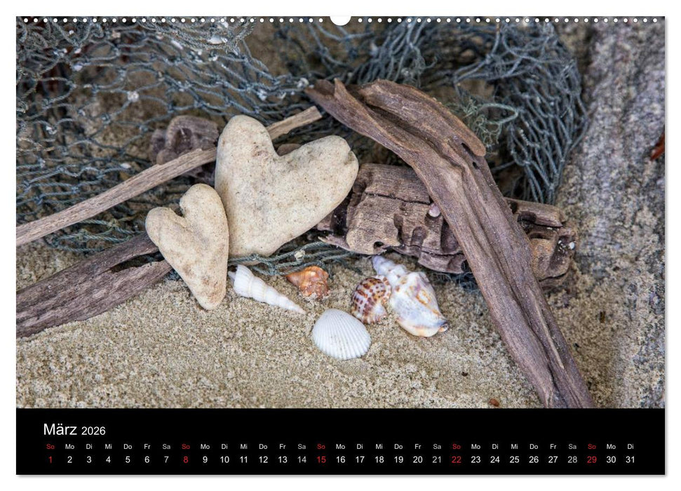Strandgut und Meer 2026 (CALVENDO Wandkalender 2026)