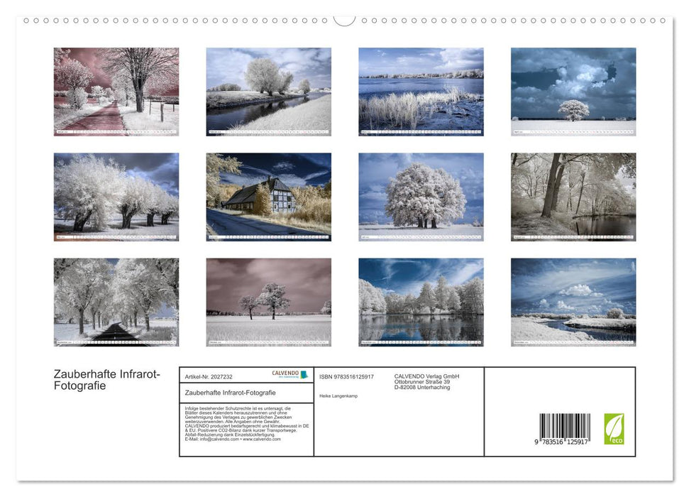 Zauberhafte Infrarot-Fotografie (CALVENDO Premium Wandkalender 2026)
