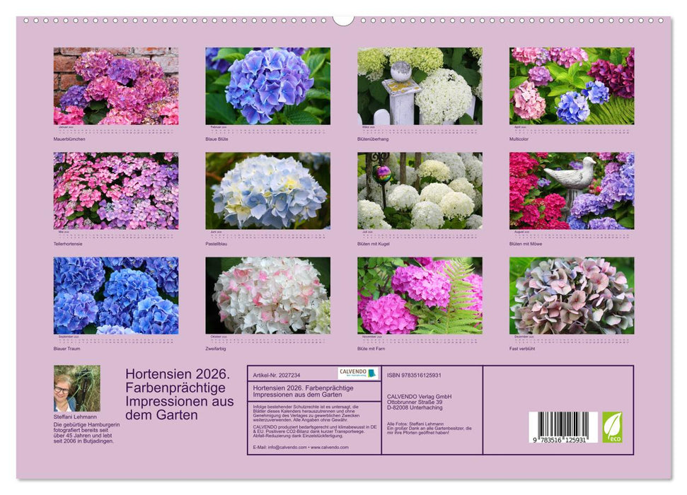 Hortensien 2026. Farbenprächtige Impressionen aus dem Garten (CALVENDO Premium Wandkalender 2026)