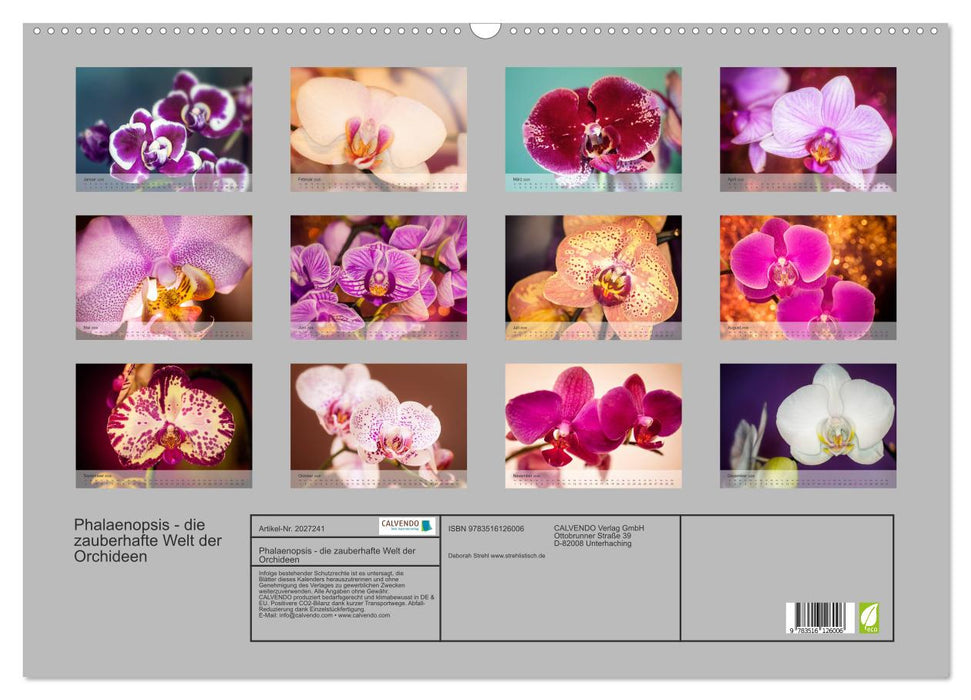 Phalaenopsis - die zauberhafte Welt der Orchideen (CALVENDO Wandkalender 2026)